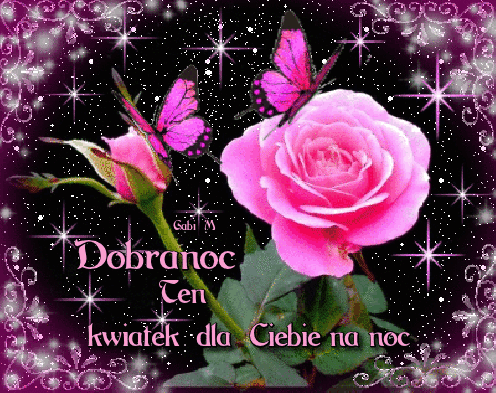 Róże motylki dobranoc